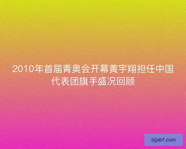 2010年首届青奥会开幕黄宇翔担任中国代表团旗手盛况回顾