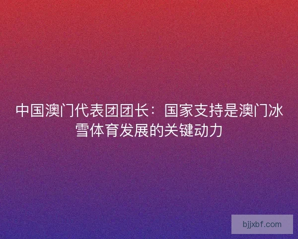 中国澳门代表团团长：国家支持是澳门冰雪体育发展的关键动力