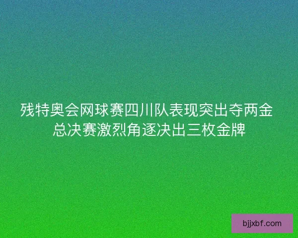 残特奥会网球赛四川队表现突出夺两金 总决赛激烈角逐决出三枚金牌